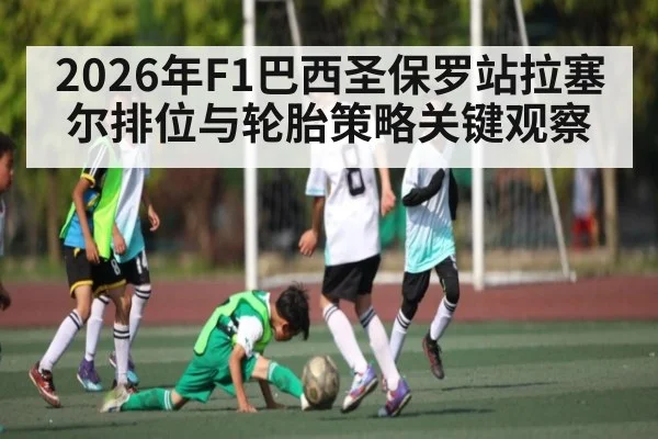 2026年F1巴西圣保罗站拉塞尔排位与轮胎策略关键观察 - dafabet