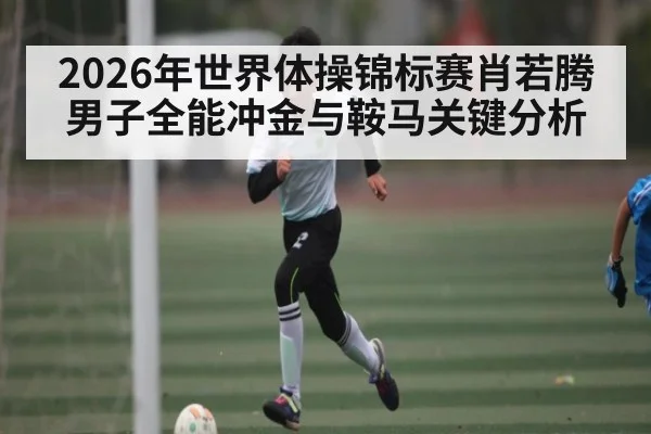 2026年世界体操锦标赛肖若腾男子全能冲金与鞍马关键分析 - dafabet